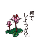 高山植物の花で癒してね（個別スタンプ：25）