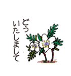 高山植物の花で癒してね（個別スタンプ：26）