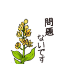 高山植物の花で癒してね（個別スタンプ：27）