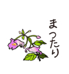 高山植物の花で癒してね（個別スタンプ：35）