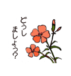 高山植物の花で癒してね（個別スタンプ：38）