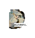 サビとなっちゃん（個別スタンプ：2）