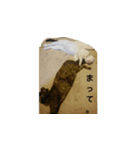サビとなっちゃん（個別スタンプ：5）