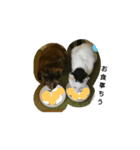 サビとなっちゃん（個別スタンプ：7）
