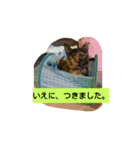 サビとなっちゃん（個別スタンプ：13）