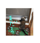 うちのフェレズ2（個別スタンプ：12）