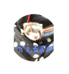 うちのフェレズ2（個別スタンプ：14）