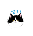 はちわれCAT！！（個別スタンプ：15）