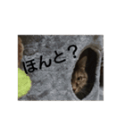 シンプル猫さん（個別スタンプ：4）