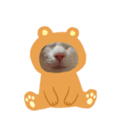 ネコ盛りだくさん（個別スタンプ：16）