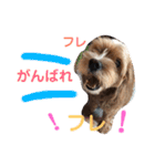 ぷりんの日常会話（個別スタンプ：17）