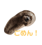 ぷりんの日常会話（個別スタンプ：20）