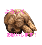 ぷりんの日常会話（個別スタンプ：24）