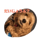 ぷりんの日常会話（個別スタンプ：28）