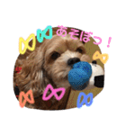 ぷりんの日常会話（個別スタンプ：39）