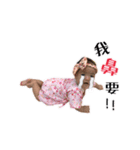 双子ちゃんの面白い生活（個別スタンプ：33）