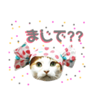 ていばんシリーズ（個別スタンプ：3）