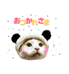 ていばんシリーズ（個別スタンプ：4）