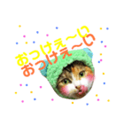 ていばんシリーズ（個別スタンプ：5）