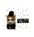 ていばんシリーズ（個別スタンプ：8）
