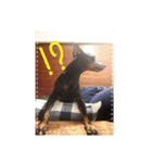 Toy manchester terrier bell！（個別スタンプ：15）