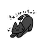 鍵ネコスタンプ（個別スタンプ：36）