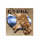 ひめぴよスタンプ（個別スタンプ：4）