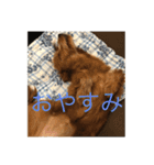 ひめぴよスタンプ（個別スタンプ：14）