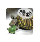 可愛い小さなカメの日常生活編（個別スタンプ：4）