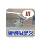 可愛い小さなカメの日常生活編（個別スタンプ：23）