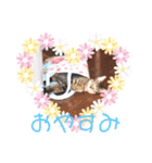 猫まみれ色々ニャン（個別スタンプ：2）
