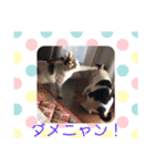 猫まみれ色々ニャン（個別スタンプ：18）