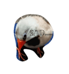 bird stamp.（個別スタンプ：4）