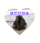 ハムスターのまろちゃん2（個別スタンプ：7）