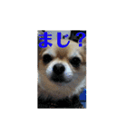 マロソ（個別スタンプ：7）