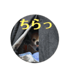 マロソ（個別スタンプ：9）