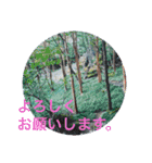 風景写真で挨拶スタンプ（個別スタンプ：9）