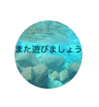 風景写真で挨拶スタンプ（個別スタンプ：12）