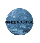 風景写真で挨拶スタンプ（個別スタンプ：19）
