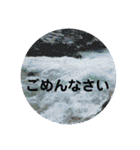 風景写真で挨拶スタンプ（個別スタンプ：20）