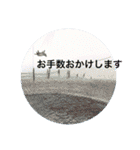 風景写真で挨拶スタンプ（個別スタンプ：24）