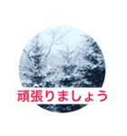 風景写真で挨拶スタンプ（個別スタンプ：25）