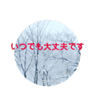 風景写真で挨拶スタンプ（個別スタンプ：26）