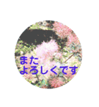 風景写真で挨拶スタンプ（個別スタンプ：30）
