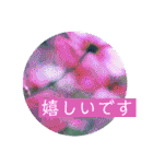 風景写真で挨拶スタンプ（個別スタンプ：34）