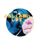 風景写真で挨拶スタンプ（個別スタンプ：35）