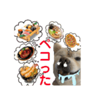 でぶらにあんアイニィ3ワンコ日常スタンプ（個別スタンプ：23）