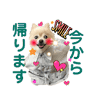 でぶらにあんアイニィ3ワンコ日常スタンプ（個別スタンプ：32）