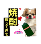 でぶらにあんアイニィ3ワンコ日常スタンプ（個別スタンプ：33）