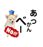 でぶらにあんアイニィ3ワンコ日常スタンプ（個別スタンプ：34）
